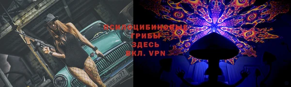 МДПВ Абинск