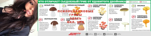 МДПВ Абинск