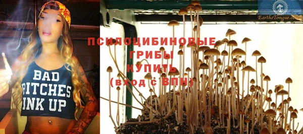 МДПВ Абинск