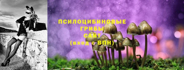 кокс Абаза
