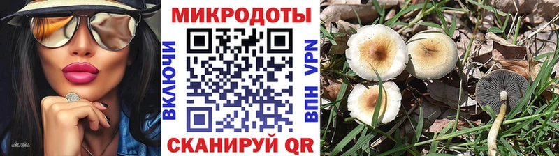 маркетплейс наркотические препараты  Назрань  Галлюциногенные грибы GOLDEN TEACHER 